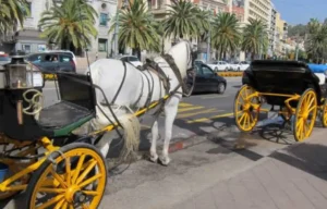 Los coches de caballos dejarán Málaga en "septiembre u octubre"