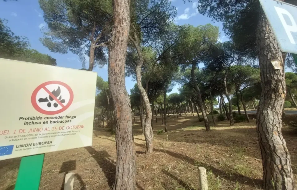 Comienza el riesgo alto por incendios forestales en Andalucía: prohibido hacer barbacoas y quemas agrícolas