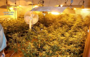 marihuana granada