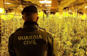 marihuana granada