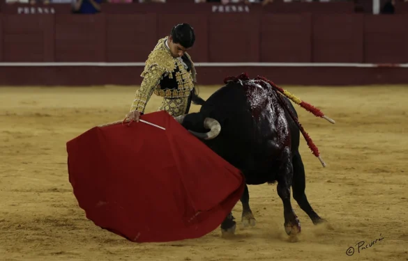 Fotos de Pacurrón