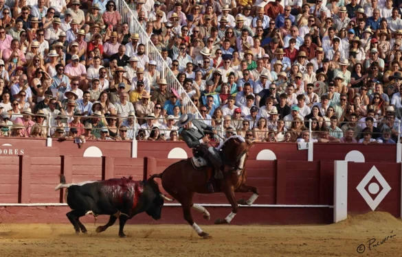Fotos de Pacurrón