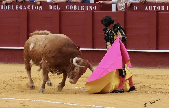 Fotos de Pacurrón