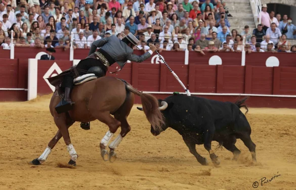 Fotos de Pacurrón