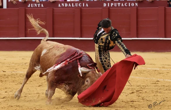 Fotos de Pacurrón