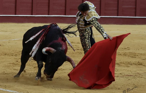 Fotografía de Pacurrón