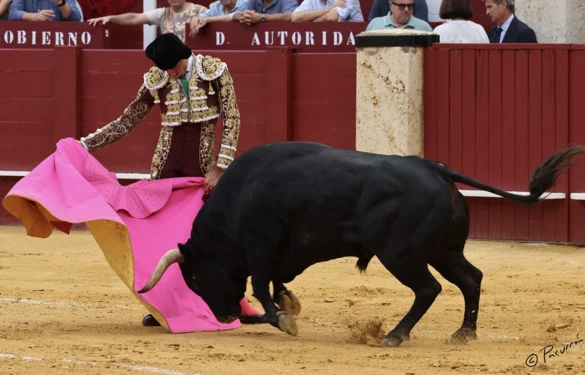 Fotos de Pacurrón