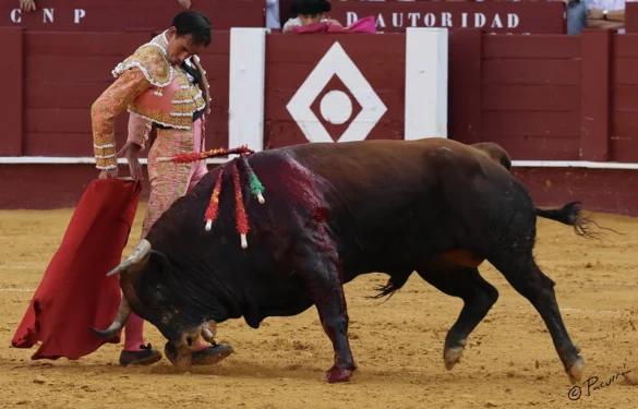 Fotografía de Pacurrón