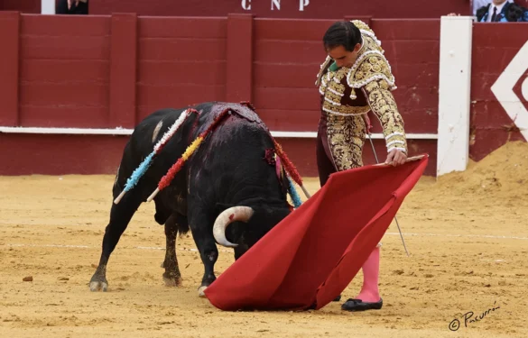 Fotos de Pacurrón