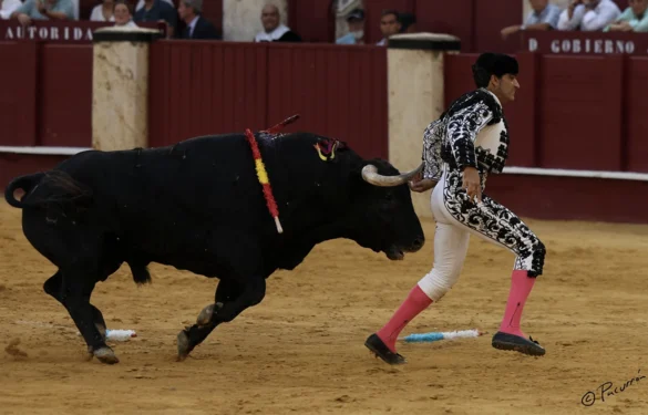 Fotos de Pacurrón