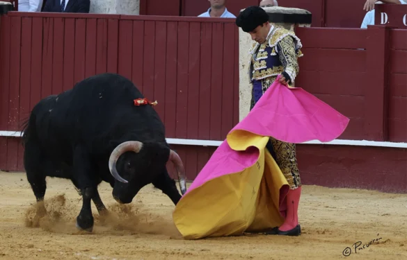 Fotografía de Pacurrón