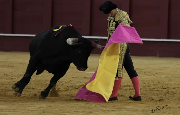 Fotos de Pacurrón