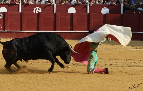 Fotografía de Pacurrón