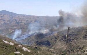 incendio cadiar