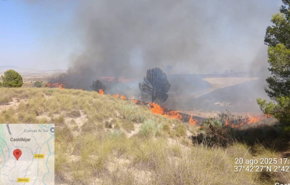 incendio forestal benamaurel
