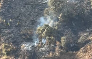 incendio fuente de la bicha cenes granada - foto javier martin