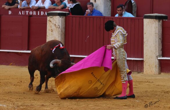 Fotógrafo: Pacurrón