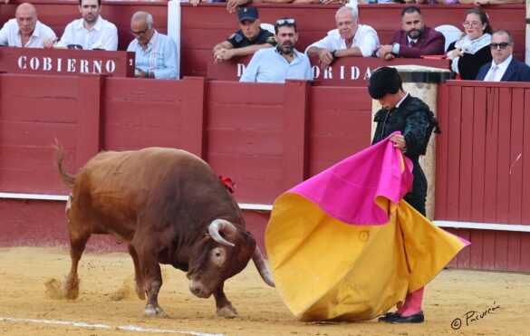 Fotógrafo: Pacurrón