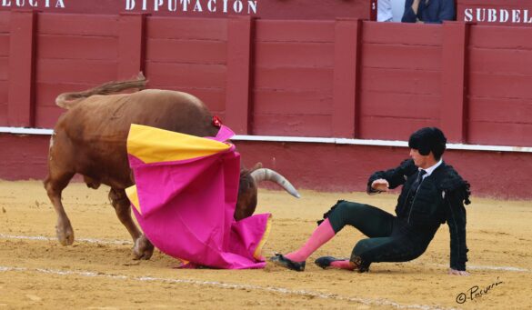 Fotógrafo: Pacurrón