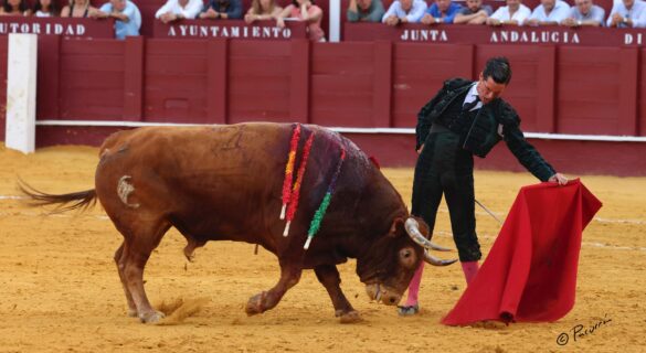 Fotógrafo: Pacurrón
