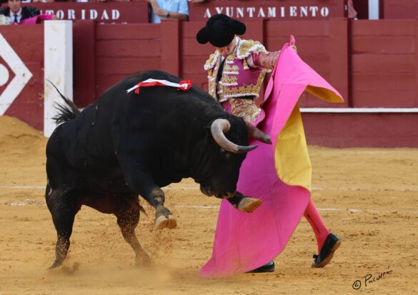 Fotógrafo: Pacurrón