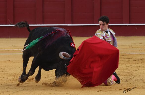 Fotógrafo: Pacurrón