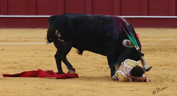 Fotógrafo: Pacurrón