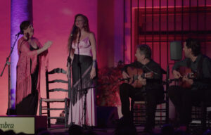 bienal flamenco granada