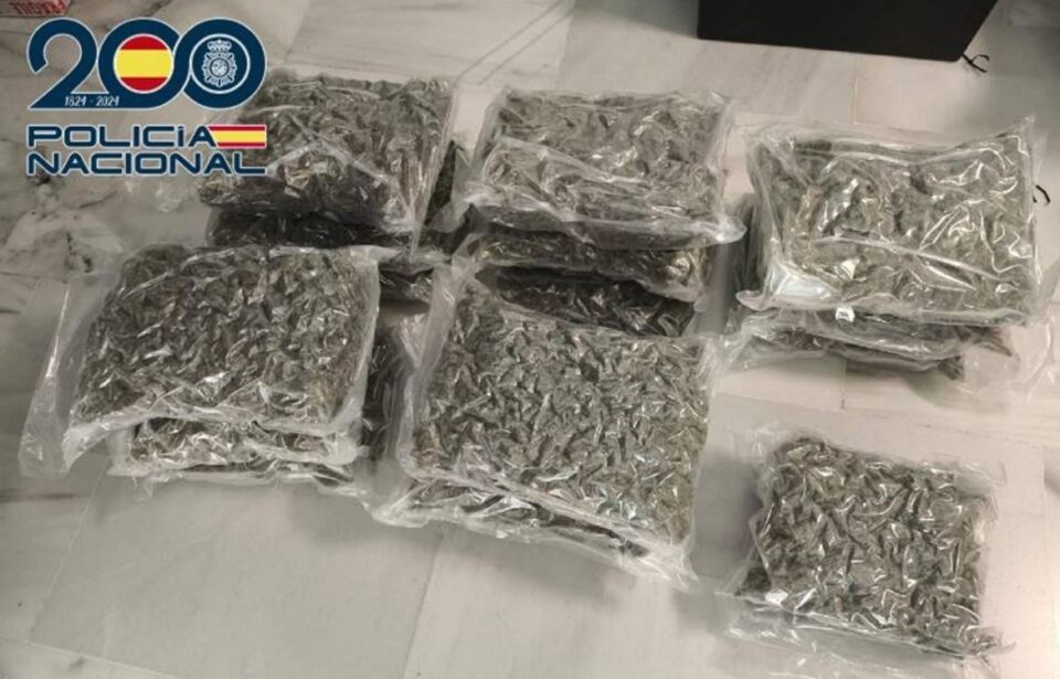marihuana intervenida zona norte granada (1)