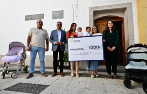 cheque bebe diputacion granada