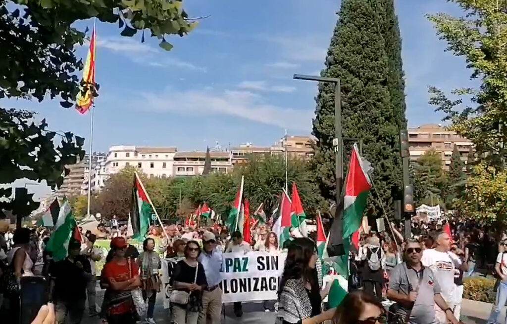 manifestacion por palestina en granada