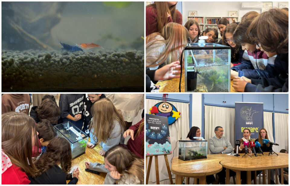 Bioparc Fuengirola presenta 'Naturaleza en el aula', un proyecto pionero que llevará ecosistemas vivos a cinco colegios de Málaga