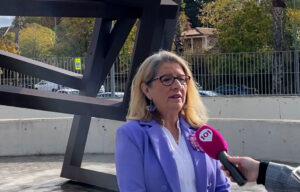 paqui fuillerat - plataforma 25n granada