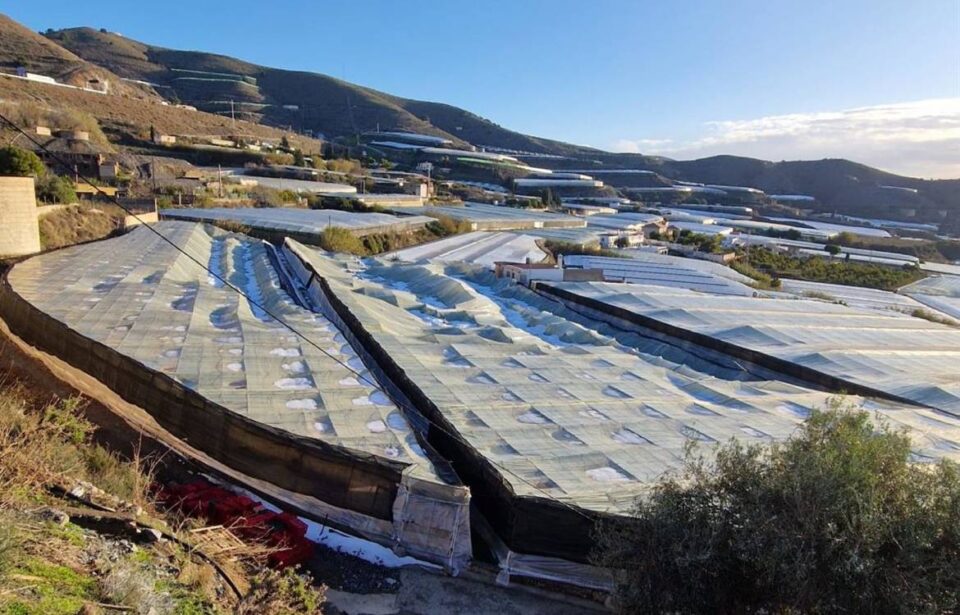 invernaderos carchuna