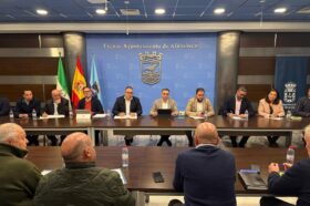 proyecto presa de rules