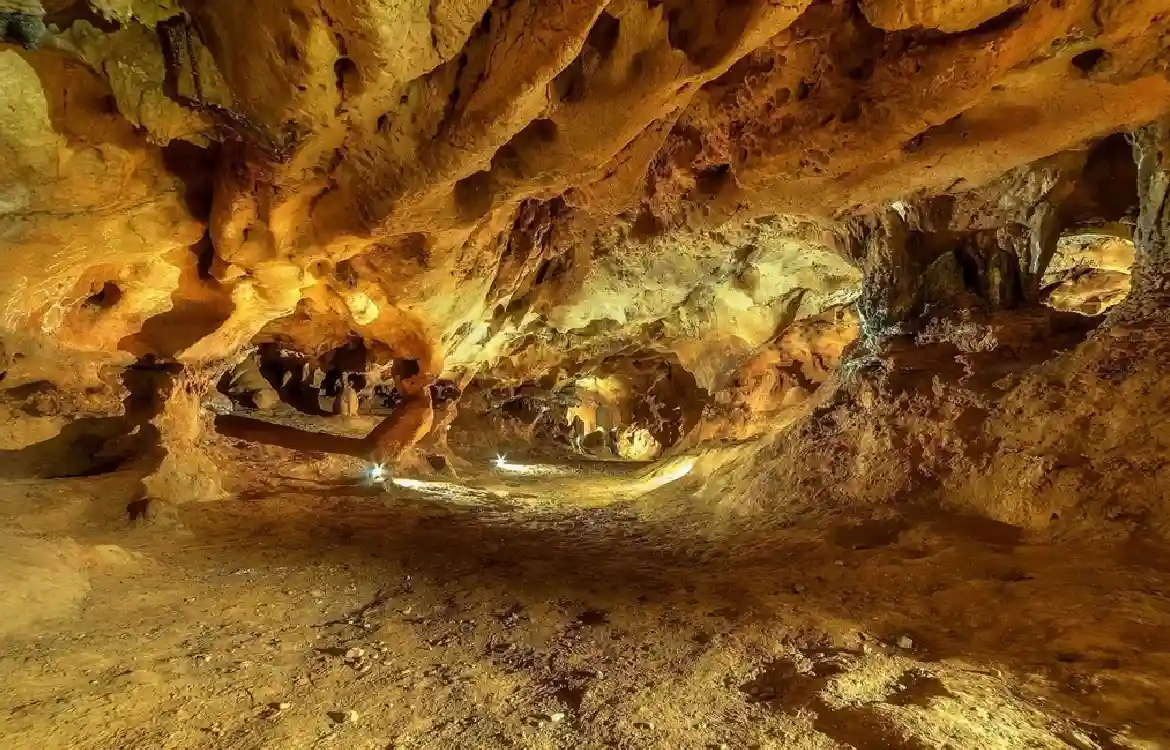 Málaga se sitúa en la vanguardia internacional de los estudios sobre las poblaciones neandertales