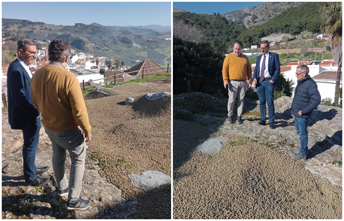 Casarabonela instalará una pasarela superficial para facilitar las visitas a los restos arqueológicos de su Castillo