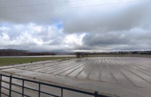 campo huetor tajar anegado - foto mj ramirez