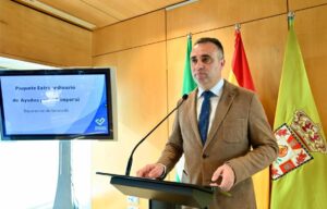 diputacion granada ayudas temporal