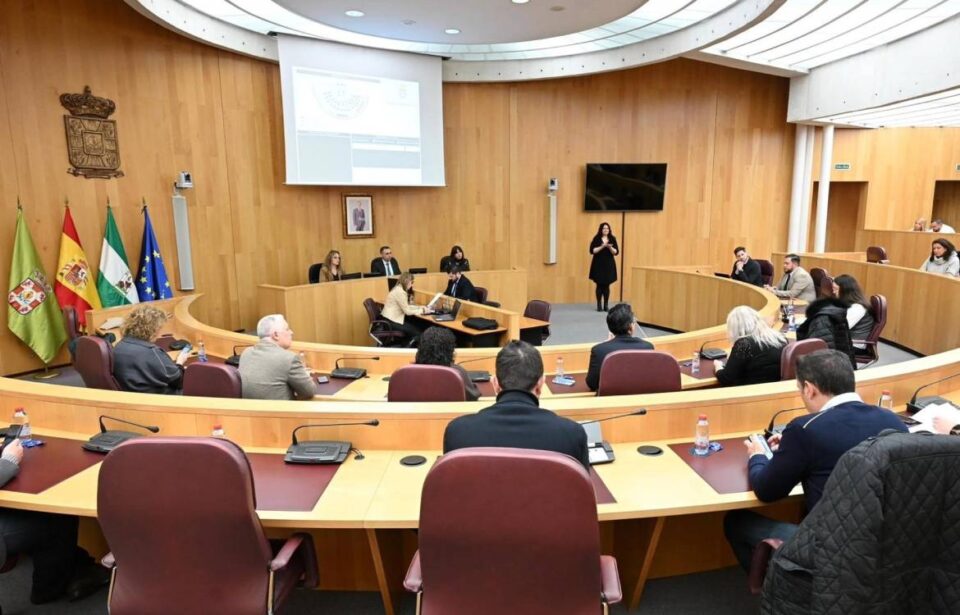 pleno diputacion granada zona catastrofica