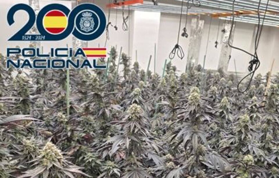 marihuana granada zona norte