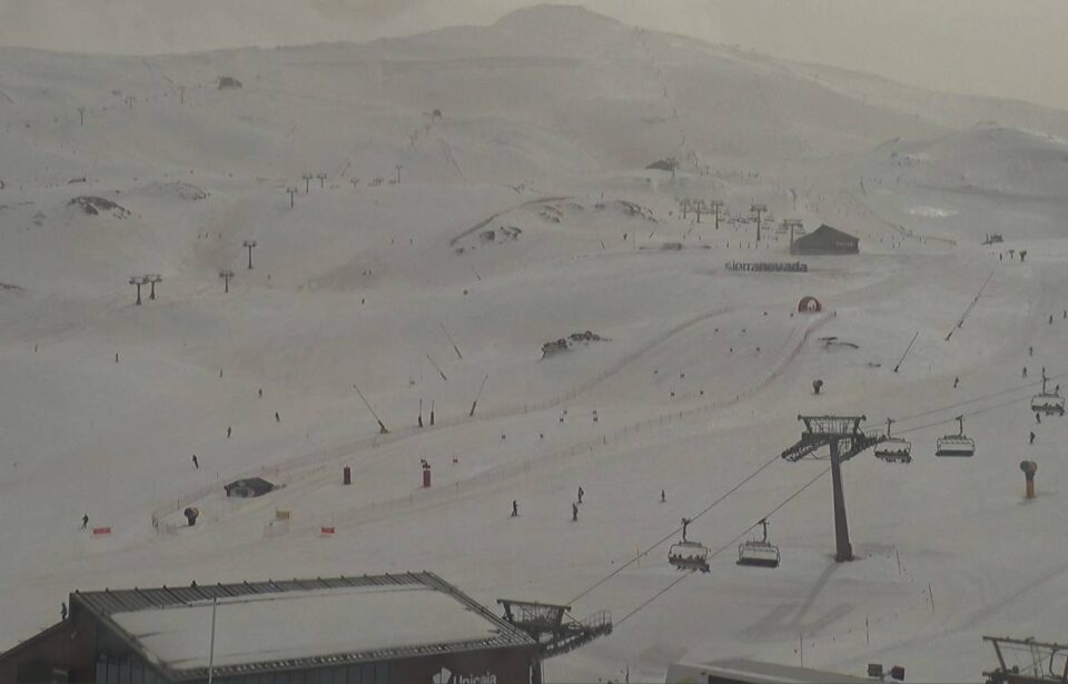 sierra nevada borreguiles