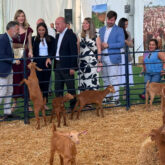 Antequera-Feria-Rural