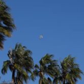Avisos-amarillos-por-viento-en-Malaga-este-viernes-el-levante-dejara-rachas-de-70-kilometros-hora