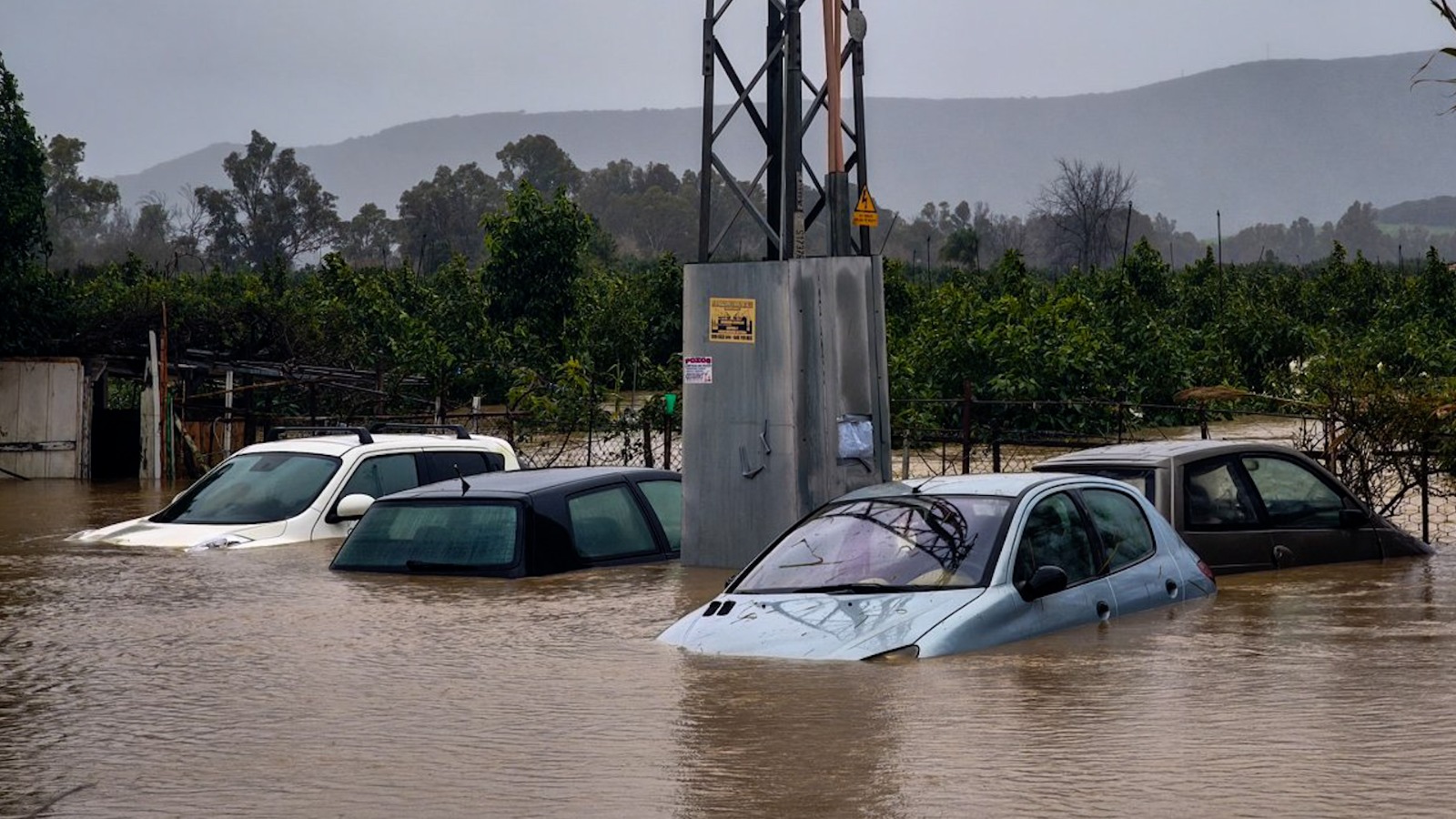 Imagen Coches