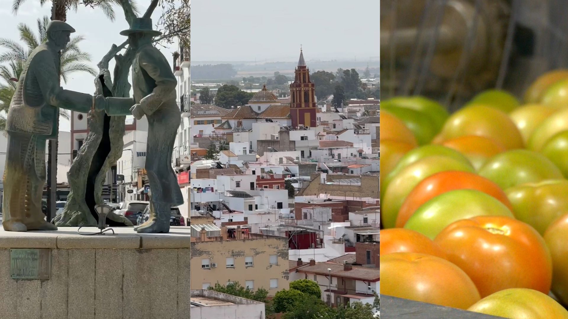 Los-Palacios-y-Villafranca