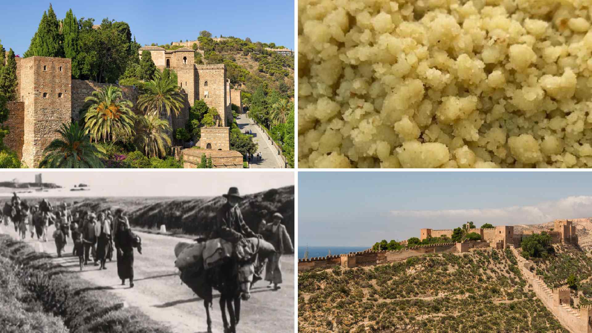 alcazabas-migas-desbanda-historia-comun-almeria-malaga