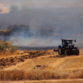 tractor tractor
