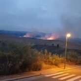 Proyecto-nuevo-1