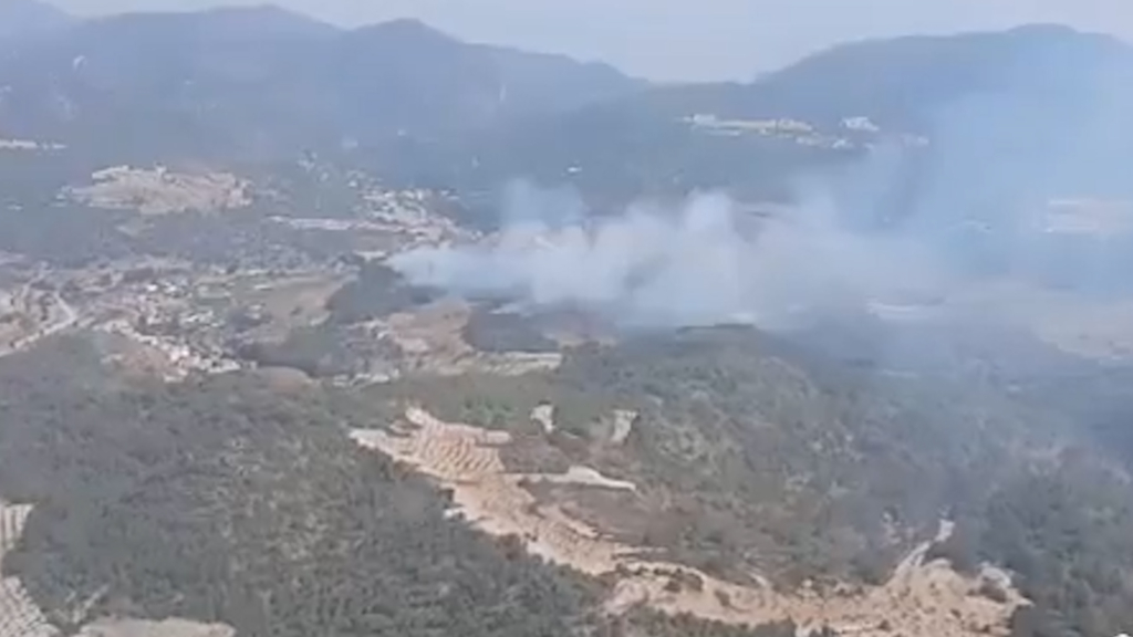 Un gran incendio forestal obliga a desplegar ocho medios aéreos en Purchena